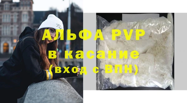 сатива Баксан