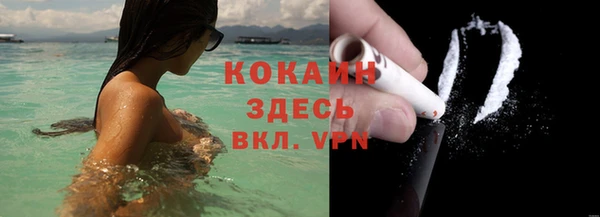 сатива Баксан